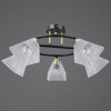 Потолочная люстра Illumico IL0850-5CSQ-25BKAB ELITE