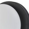 Настенный светильник Escada Meteor 10273/1LED Black