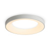 Потолочный светильник Freya Fit FR6157CL-L65W