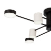Потолочный светильник Freya Tibo FR6048CL-L8B