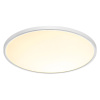 Потолочный светильник Sonex Alfa white 7659/48L
