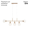 Подвесная люстра Maytoni Erich MOD221-PL-05-G