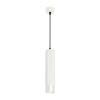 Подвесной светильник Arlight SP-Spicy-Hang-R70-13W Day4000 033680