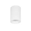 Накладной светильник Lightstar Rullo IP65 214476IP65