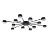 Потолочная люстра Lumion Comfi Torina 8344/12C