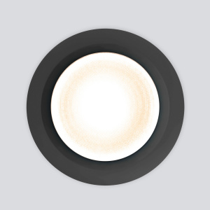 Уличный светильник Elektrostandard Light LED 3003 4690389184352