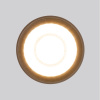 Уличный потолочный светильник Elektrostandard Light LED 4690389176975