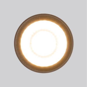 Уличный потолочный светильник Elektrostandard Light LED 4690389176975