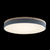Потолочный светильник Loft IT AXEL 10001/36 Grey