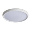 Потолочный светильник Freya Obelle FR6211CL-L24W