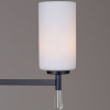 Люстра на штанге Illumico IL2218-10PLS-24 HIGHBALL