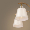 Потолочная люстра Freya Zingy FR5267PL-05BS