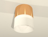 Потолочный светильник Ambrella Light Techno Spot XS8121011 (C8121, N8402)