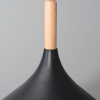 Подвесной светильник Arte Lamp Kayla A7101SP-1BK