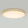 Потолочный светильник Citilux Norma LED RGB CL749600