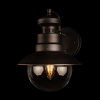 Уличный настенный светильник Loft IT Piemonte 100022W