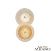 Настенный светильник Arte Milano 2.1252B.D150.H280.LED G