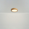 Потолочный светильник Freya Ballia FR6169CL-L25PN