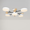 Потолочный светильник Freya Crown FR6119CL-L60W