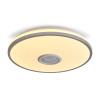 Потолочный светильник Freya Rond FR6226CL-L36W