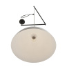 Подвесной светильник Lumion Moderni Armina 8321/1C