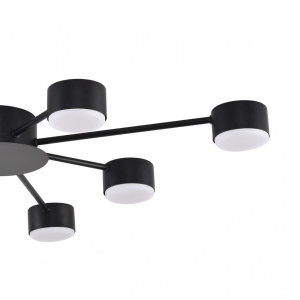 Потолочная люстра Lumion Comfi Torina 8344/8C