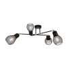 Потолочная люстра Freya Kaisa FR5069PL-04B