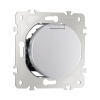 Розетка с заземлением, шторками и защитной крышкой Arte Milano 202.41-1.silver