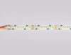 Светодиодная лента Ambrella Light LED Strip 24В 2835 18Вт/м 3000-6500K 5м IP20 GS4151