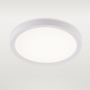 Потолочный светильник Natali Kovaltseva Plain LED LAMPS 81113/1C