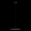 Подвесной светильник Loft IT Plato 10119 Black