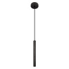 Подвесной светильник Loft IT Everest 10583D Black