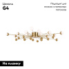 Потолочная люстра Freya Celebrity FR5242CL-24BS