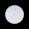 Потолочный светильник Loft IT AXEL 10003/24 White