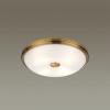 Настенно-потолочный светильник Odeon Light Pelow 4956/4