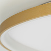 Потолочная люстра Citilux Genka Smart CL756A162