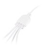 Разветвитель сетевой для линейных светильников Эра 4х IEC C7 2pin+timer (4/8/12 H) 2 м Б0066964