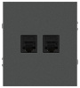 Розетка Эра Arktik 16-3108-06 информационная двойная 2XRJ45 графит Б0070489