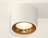 Потолочный светильник Ambrella Light Techno Spot XS7510024 (C7510, N7014)