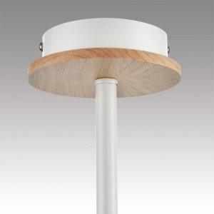 Люстра на штанге Lumion County Irma 8246/5C