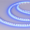 Светодиодная лента Arlight RT-A120-5mm 24V Blue (9.6 W/m, IP20, 2835, 5m) 015660(3)