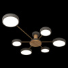Потолочная люстра Loft IT Sunrise 10316/6 Grey