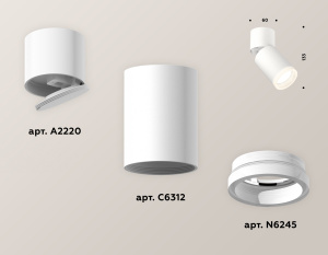 Спот Ambrella Light Techno Spot XM6312081 (A2220, C6312, N6245)