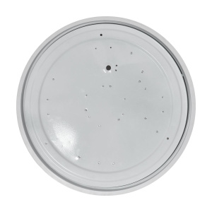 Потолочный светильник Freya Crispia FR6218CL-L90B