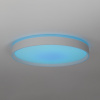 Потолочный светильник Citilux Boss CL751450G