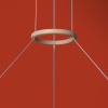Подвесная люстра Freya Prism FR5535PL-L14B