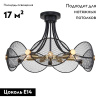 Потолочная люстра F-Promo Secure 4084-7P