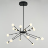 Люстра на штанге DeLight Collection MD19001025-16A black