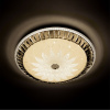 Потолочный светильник LED4U L1159-500 CR