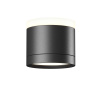 Потолочный светильник Maytoni Technical Pauline C120CL-GX53-B